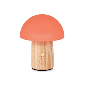 Alice Mushroom Lamp - Mini