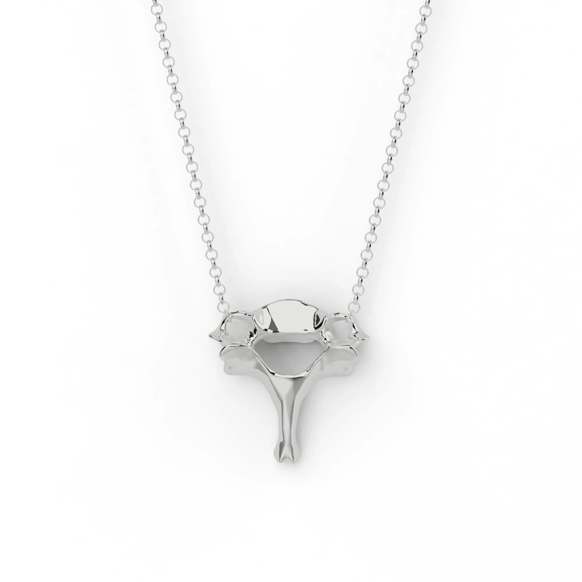 cervical vertebra necklace | silver