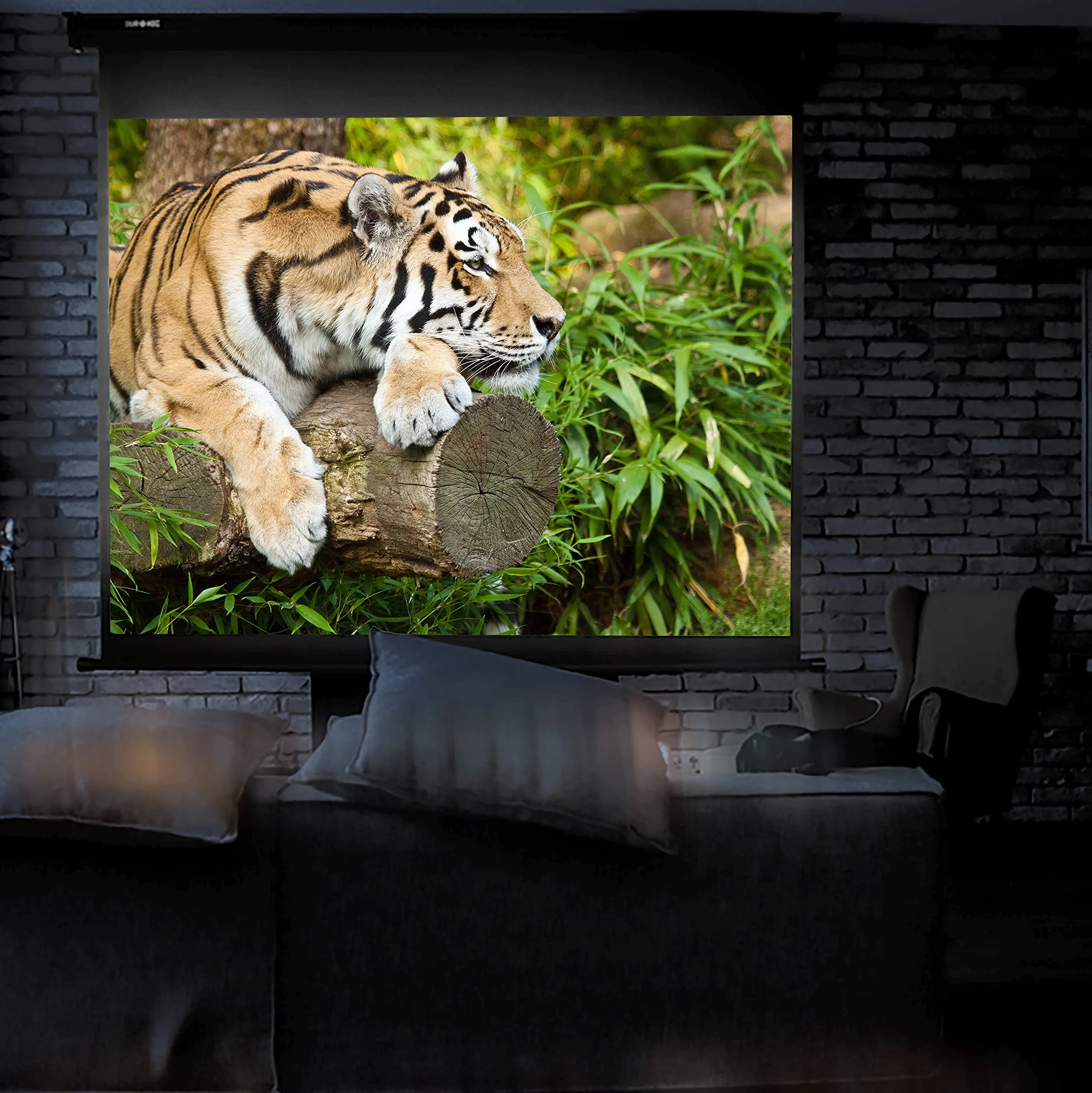 Duronic Projector Screen MPS90 BK, Manual Projection Screens, 90” Pull Down Movie Screen, 4:3 Ratio Home Theatre Cinema Screen, Ideal for Home, Classroom, Office Presentations