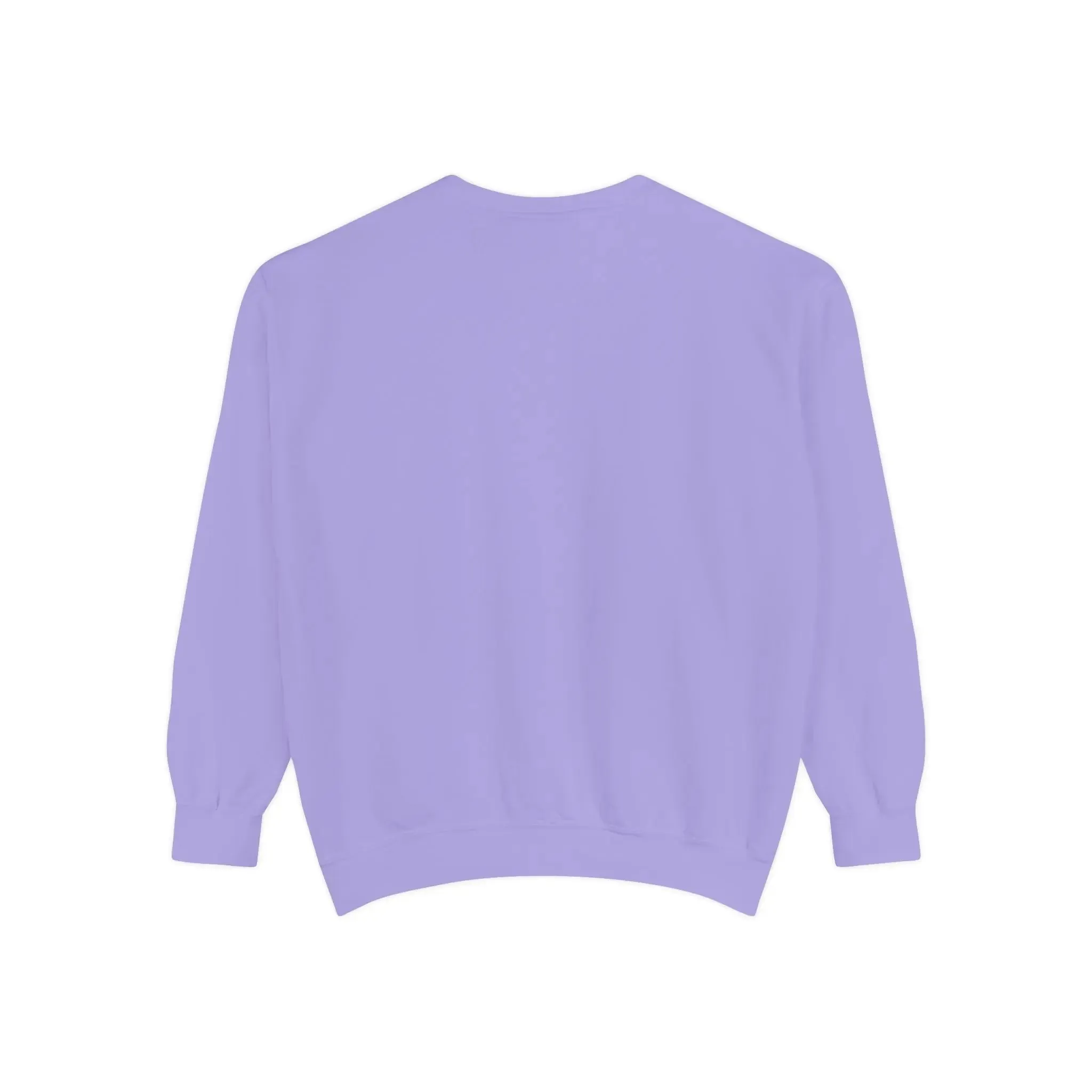 MENS AND WOMENGarment-Dyed Sweatshirt