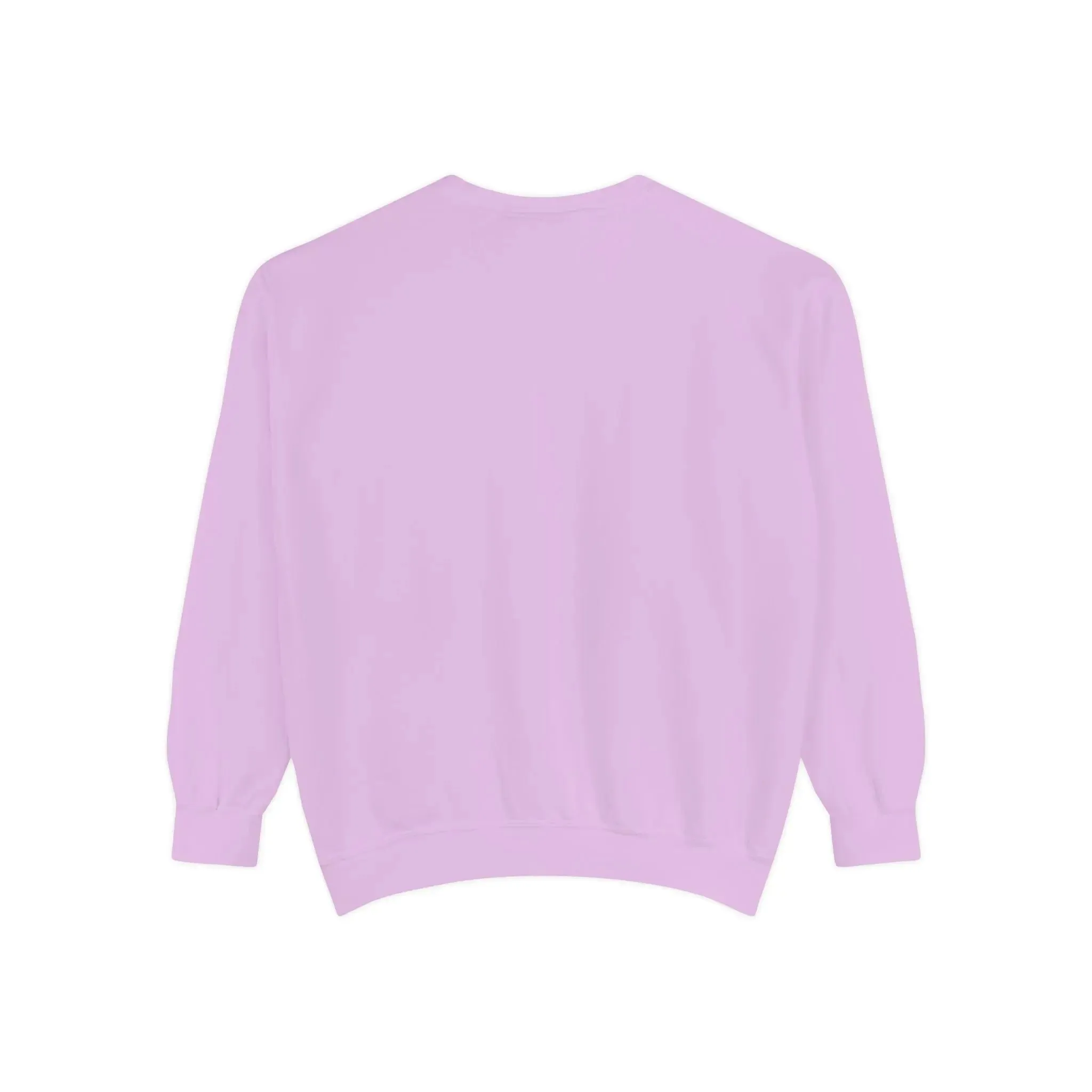 MENS AND WOMENGarment-Dyed Sweatshirt