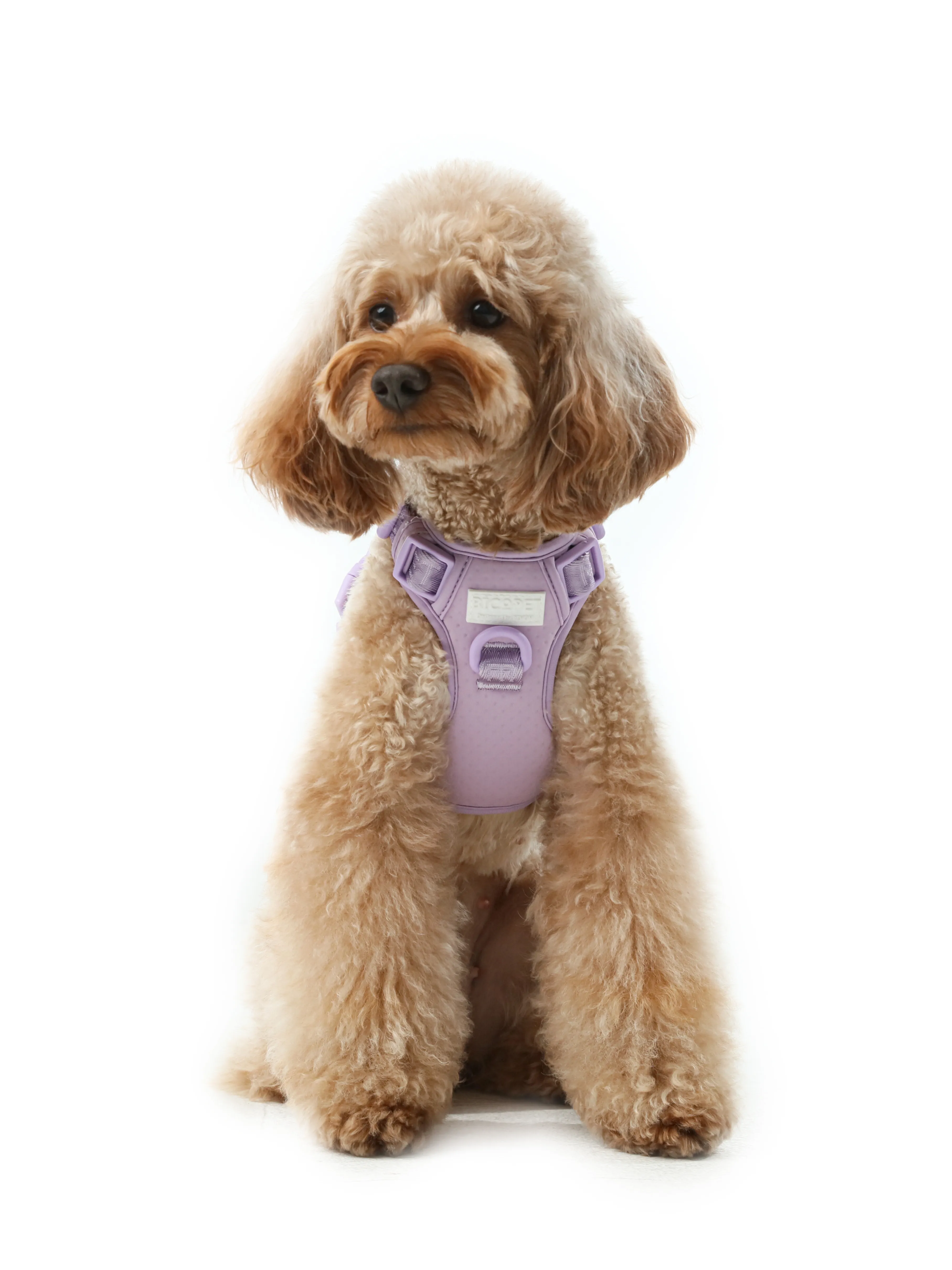 NO PULL ACTIVE  PET HARNESS - MINT PURPLE