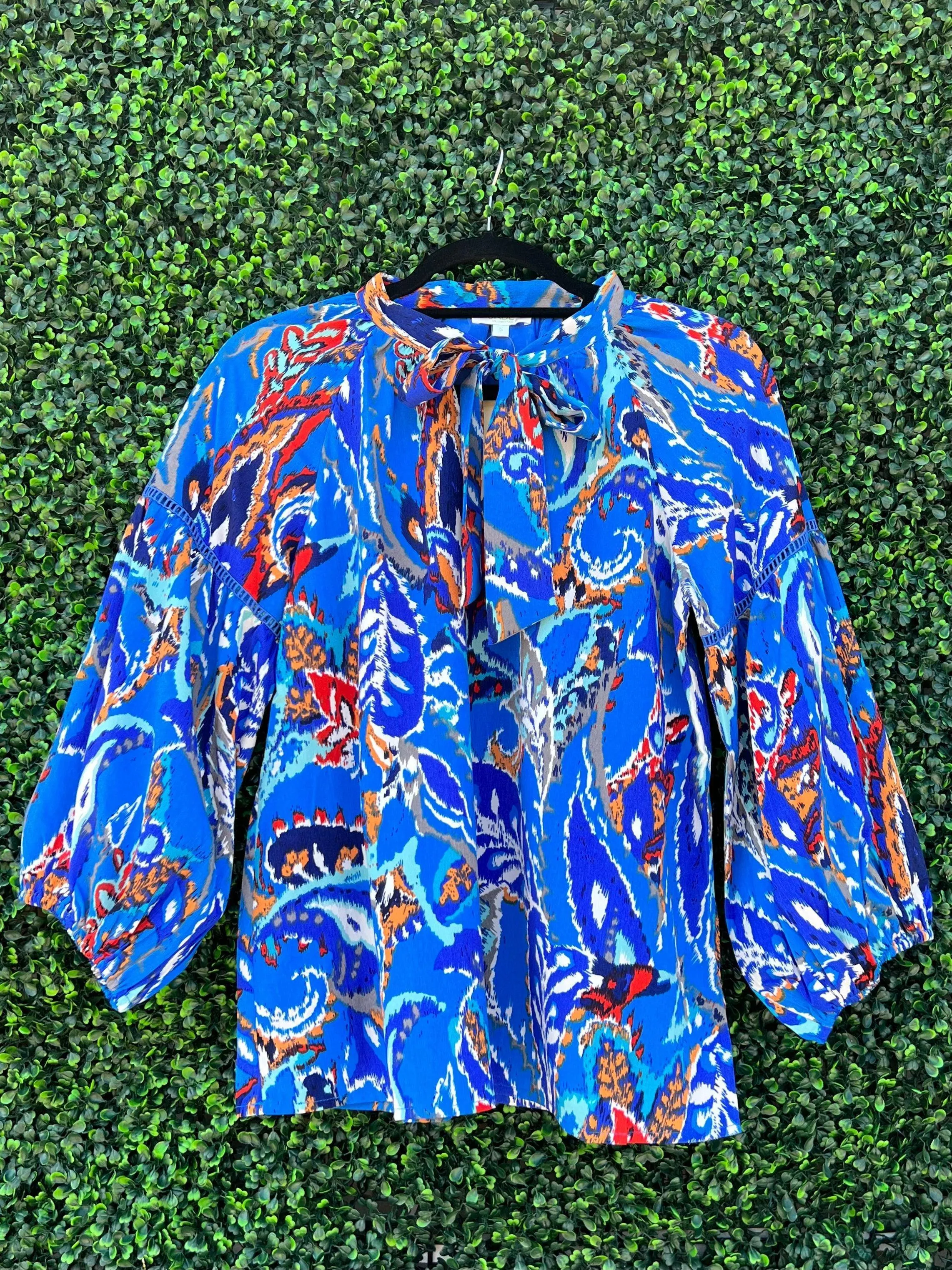 Painted Paisley Blouse